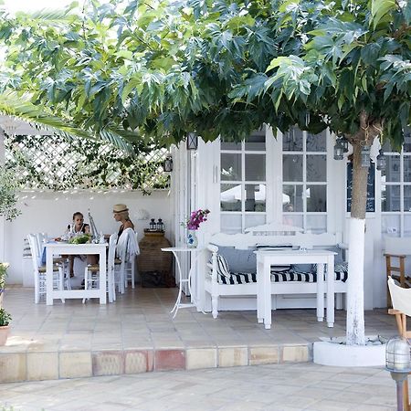 Villa Ippocampi - Adults Only 赫索尼索斯 外观 照片