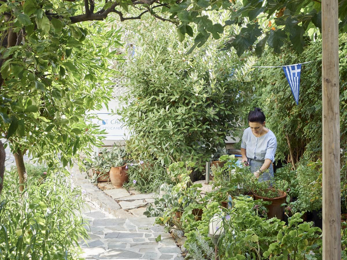 Villa Ippocampi - Adults Only 赫索尼索斯 外观 照片