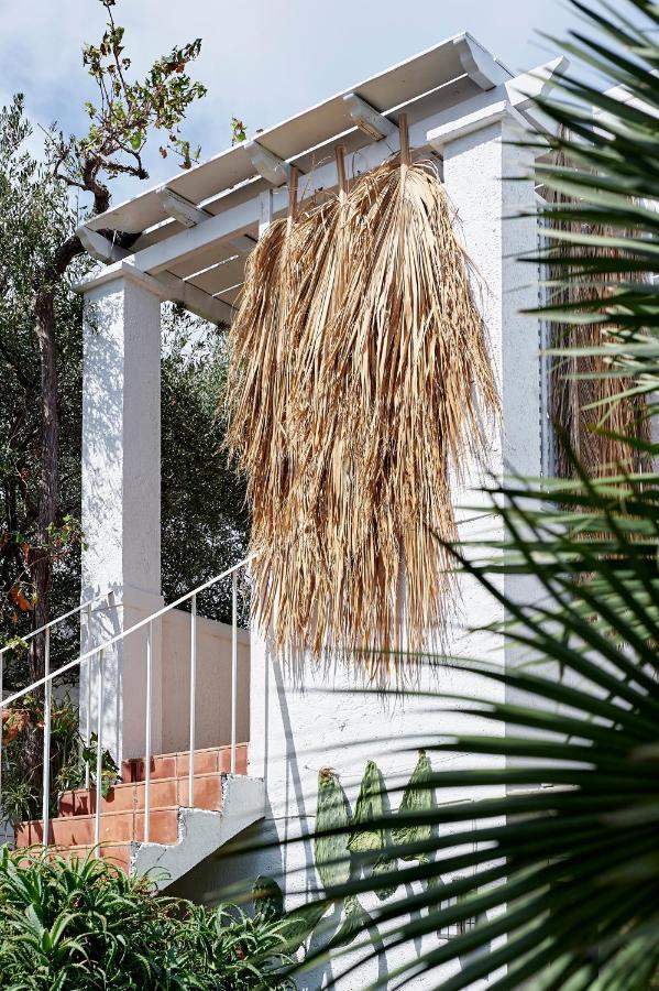 Villa Ippocampi - Adults Only 赫索尼索斯 外观 照片